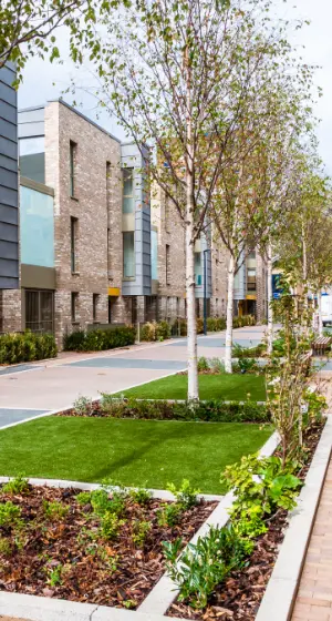 New Apartment Development